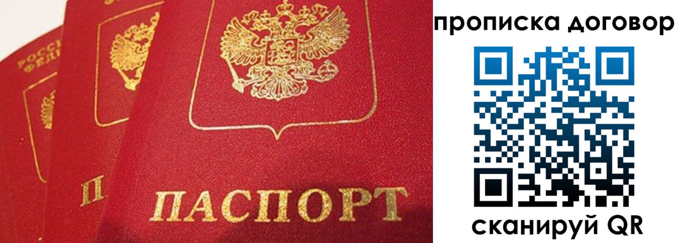 временная регистрация госуслуги в Московской области